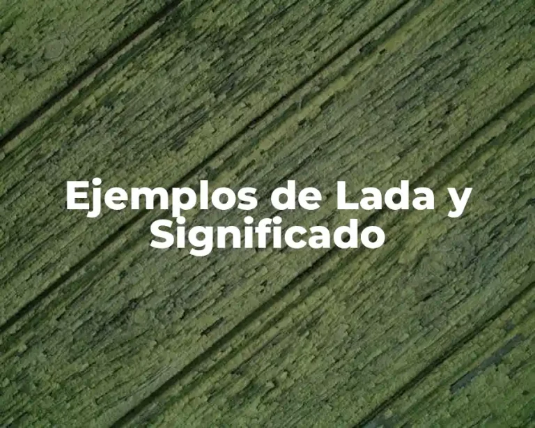 Ejemplos de Lada y Significado