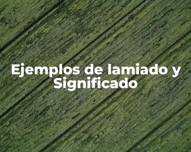 Ejemplos de lamiado y Significado