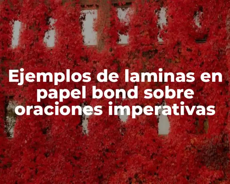 Ejemplos de laminas en papel bond sobre oraciones imperativas