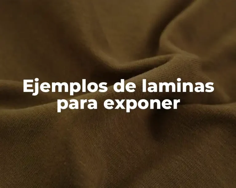 Ejemplos de laminas para exponer