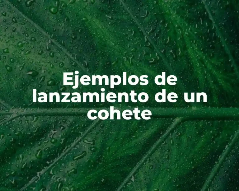 Ejemplos de lanzamiento de un cohete