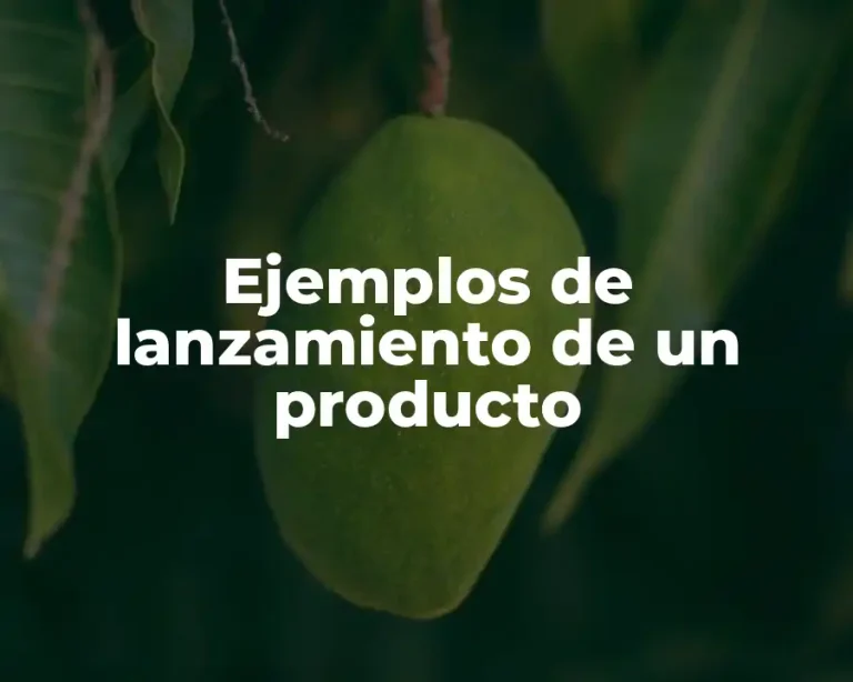 Ejemplos de lanzamiento de un producto