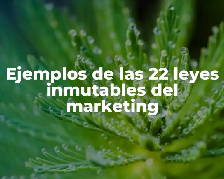 Ejemplos de las 22 leyes inmutables del marketing