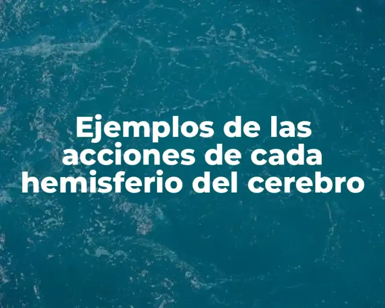 Ejemplos de las acciones de cada hemisferio del cerebro