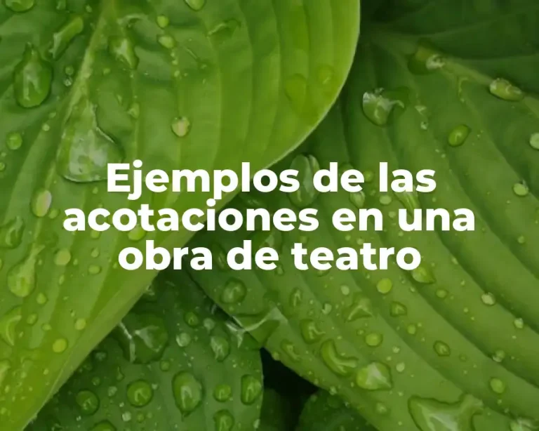 Ejemplos de las acotaciones en una obra de teatro