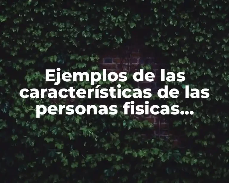 Ejemplos de las características de las personas fisicas contabilidad