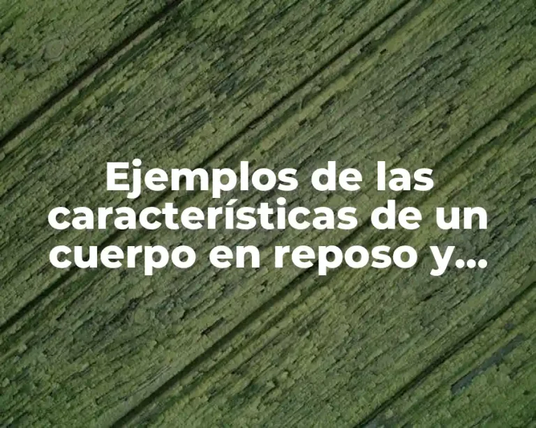 Ejemplos de las características de un cuerpo en reposo y Significado