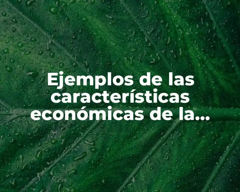 Ejemplos de las características económicas de la actividad humana