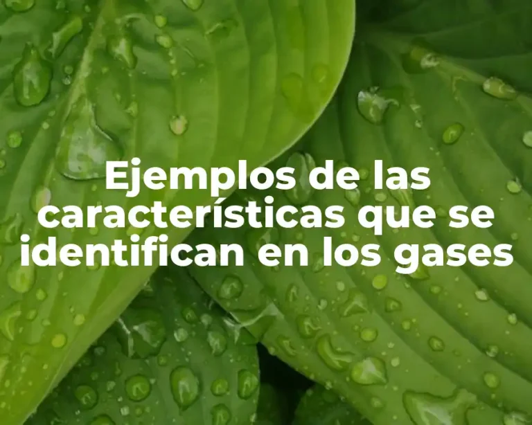 Ejemplos de las características que se identifican en los gases