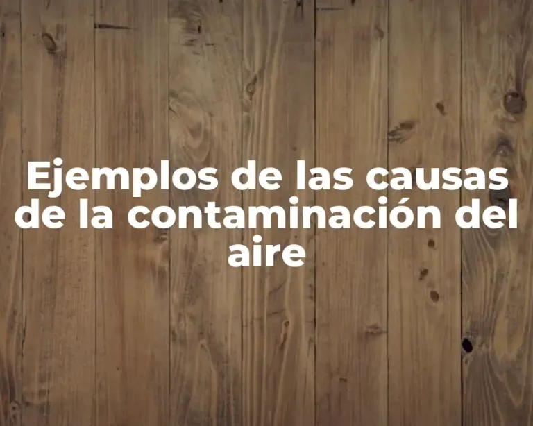 Ejemplos de las causas de la contaminación del aire