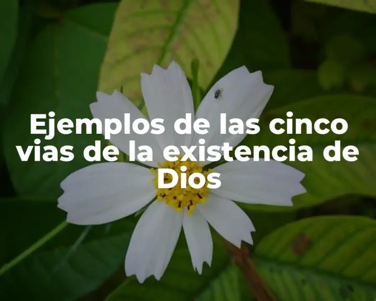 Ejemplos de las cinco vias de la existencia de Dios