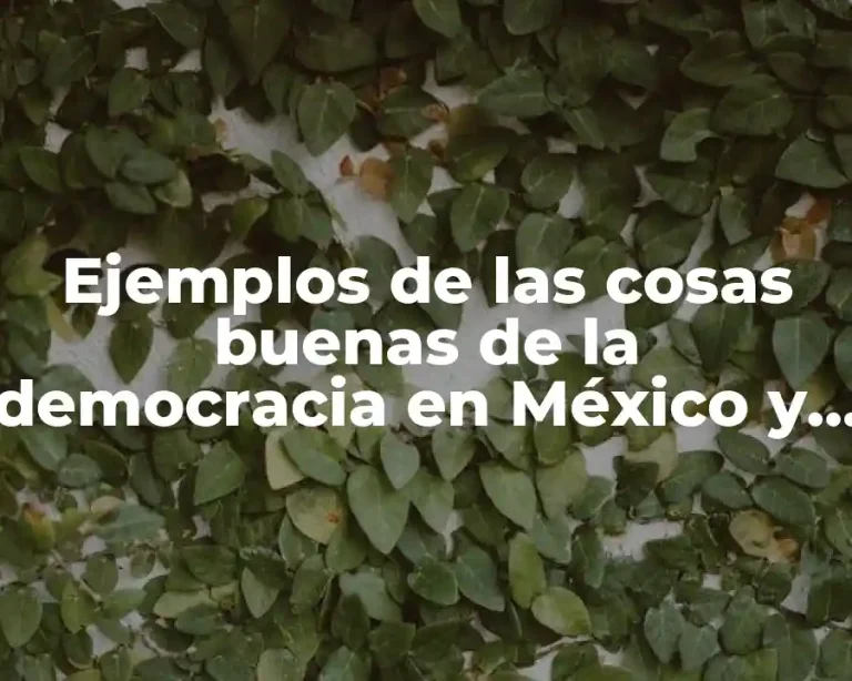 Ejemplos de las cosas buenas de la democracia en México y Significado