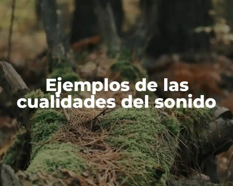 Ejemplos de las cualidades del sonido