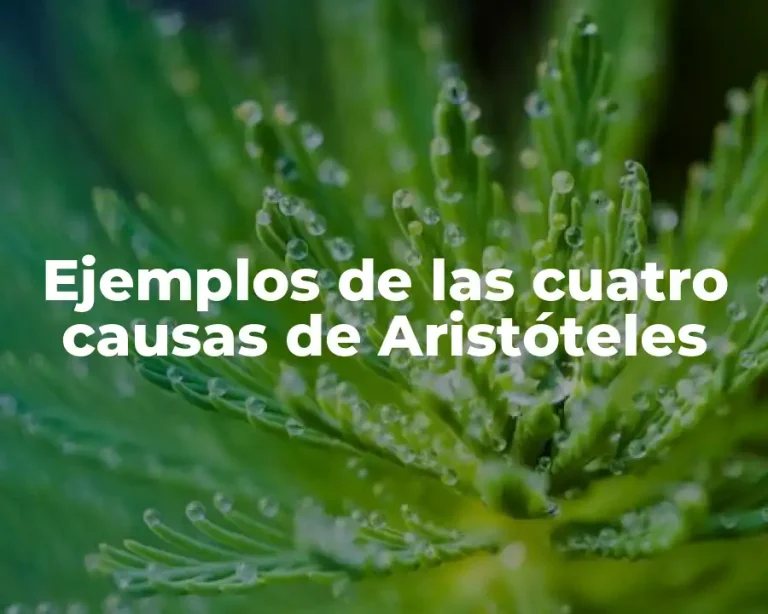 Ejemplos de las cuatro causas de Aristóteles