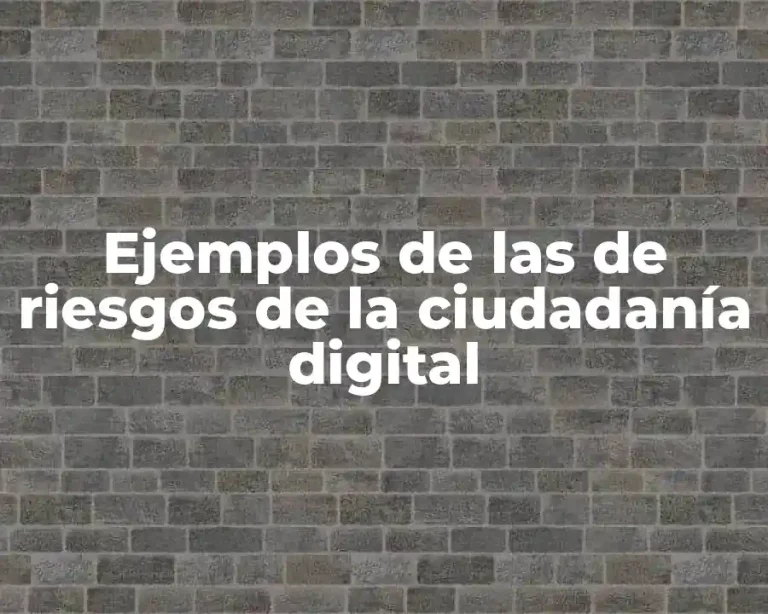 Ejemplos de las de riesgos de la ciudadanía digital