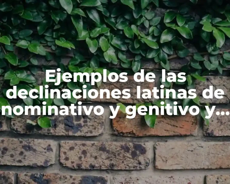 Ejemplos de las declinaciones latinas de nominativo y genitivo y Significado