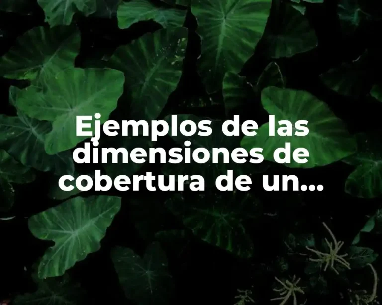 Ejemplos de las dimensiones de cobertura de un indicador