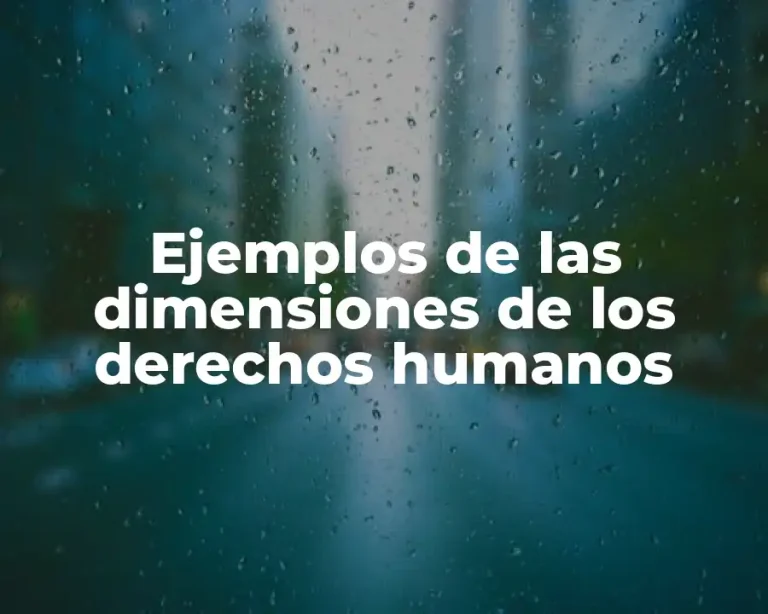 Ejemplos de las dimensiones de los derechos humanos