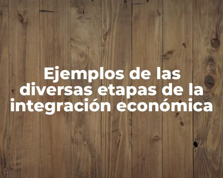 Ejemplos de las diversas etapas de la integración económica