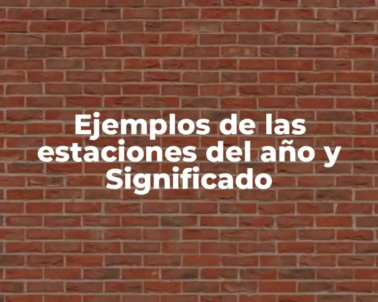 Ejemplos de las estaciones del año y Significado