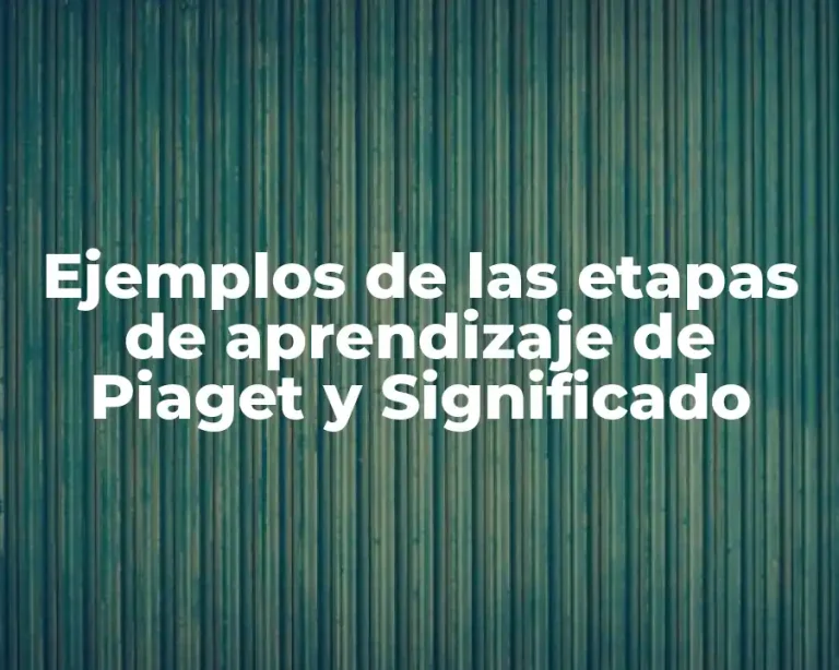 Ejemplos de las etapas de aprendizaje de Piaget y Significado