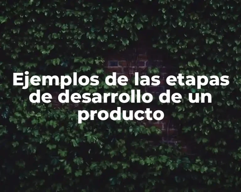 Ejemplos de las etapas de desarrollo de un producto