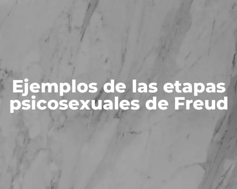 Ejemplos de las etapas psicosexuales de Freud