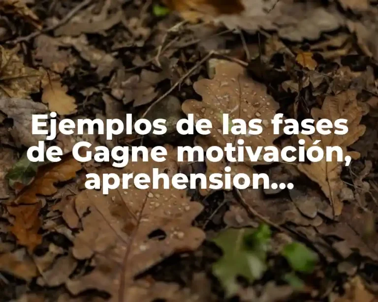 Ejemplos de las fases de Gagne motivación, aprehension, adquisición y Significado