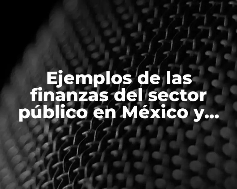 Ejemplos de las finanzas del sector público en México y Significado