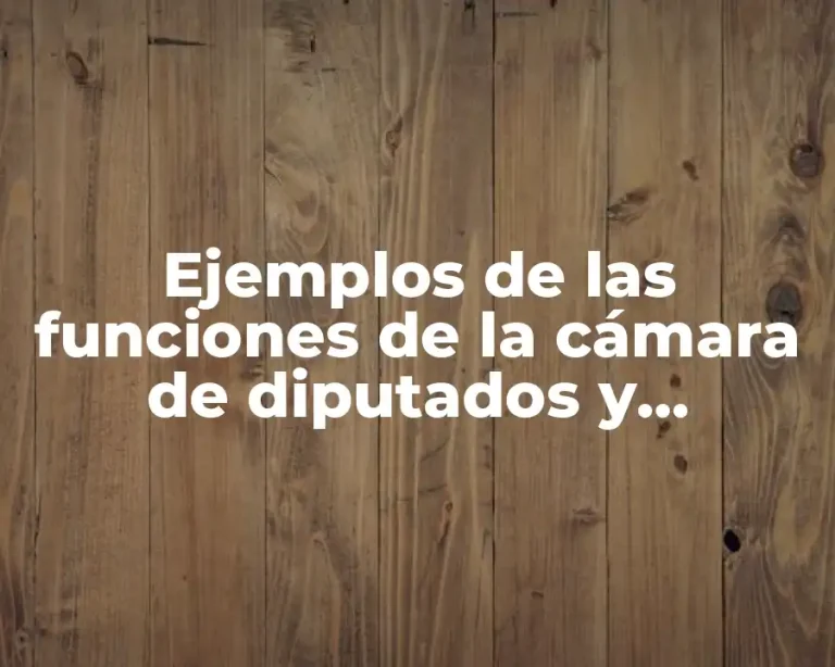 Ejemplos de las funciones de la cámara de diputados y Significado
