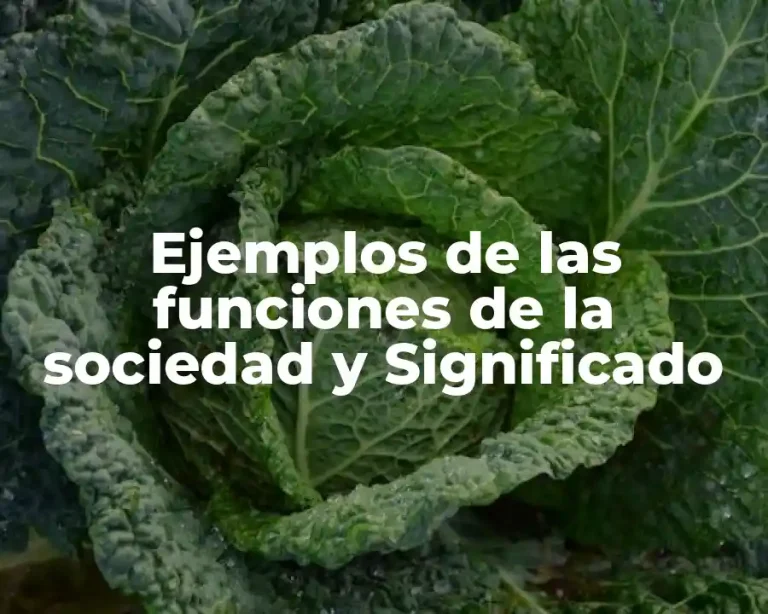 Ejemplos de las funciones de la sociedad y Significado