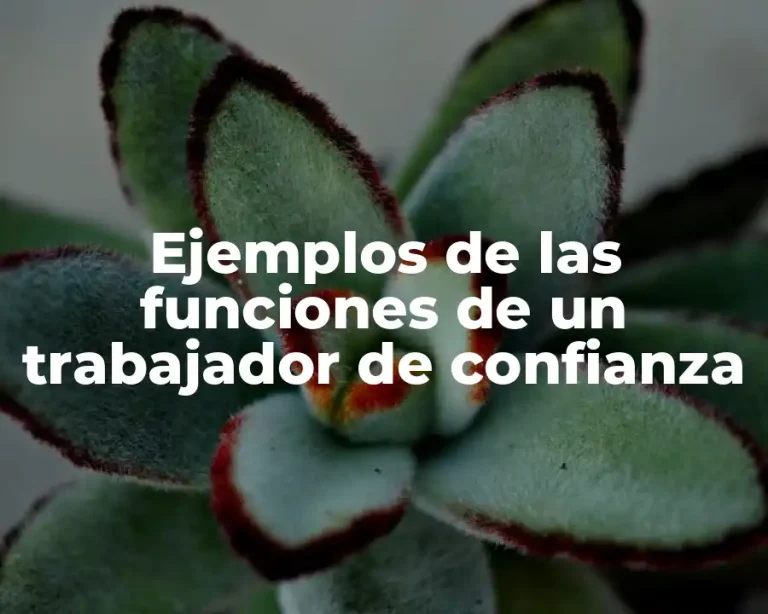 Ejemplos de las funciones de un trabajador de confianza