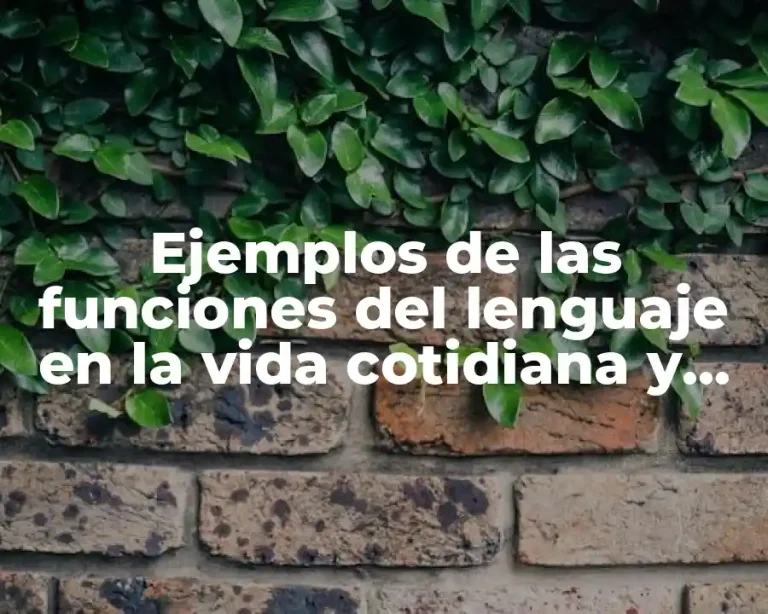 Ejemplos de las funciones del lenguaje en la vida cotidiana y Significado