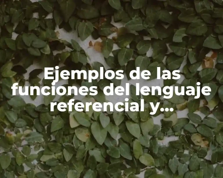 Ejemplos de las funciones del lenguaje referencial y Significado