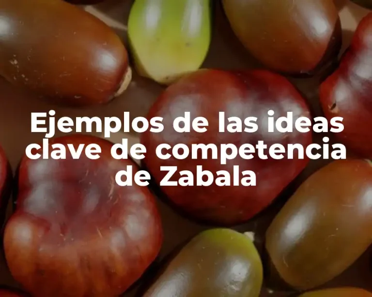 Ejemplos de las ideas clave de competencia de Zabala