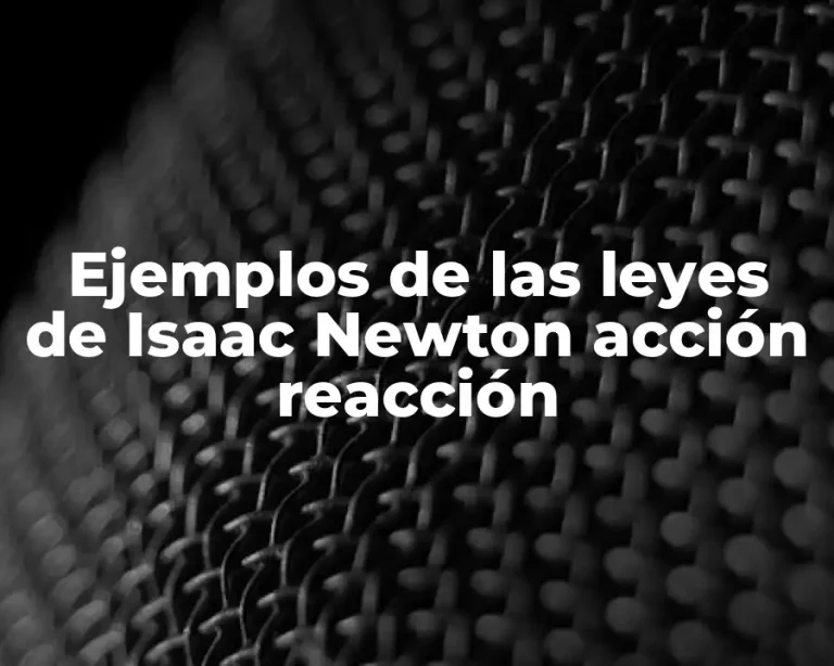 Ejemplos de las leyes de Isaac Newton acción reacción