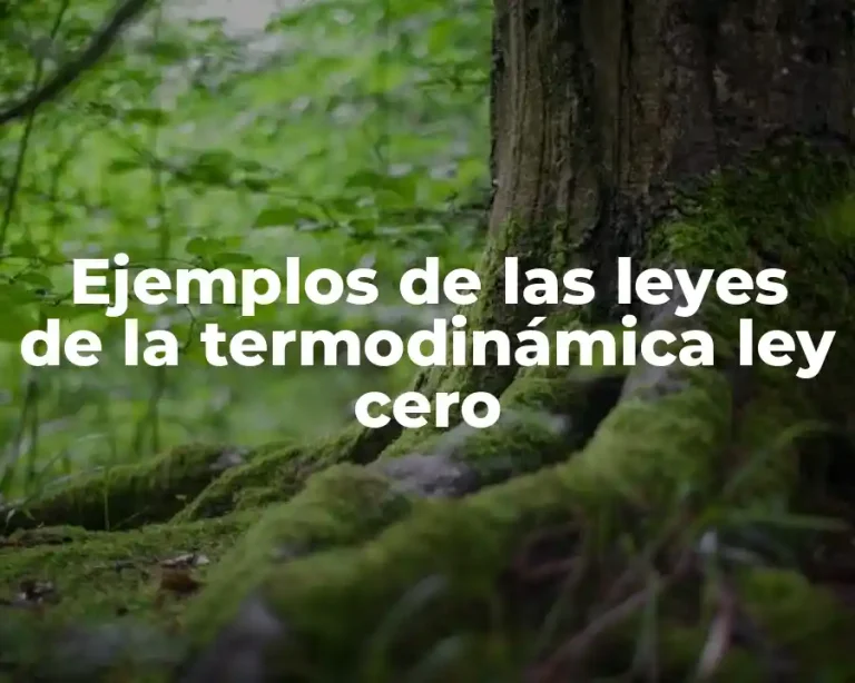 Ejemplos de las leyes de la termodinámica ley cero