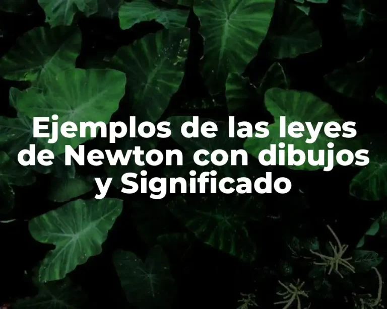 Ejemplos de las leyes de Newton con dibujos y Significado