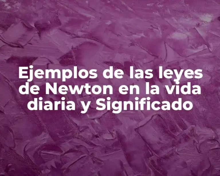 Ejemplos de las leyes de Newton en la vida diaria y Significado