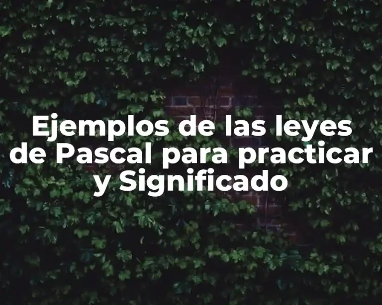 Ejemplos de las leyes de Pascal para practicar y Significado