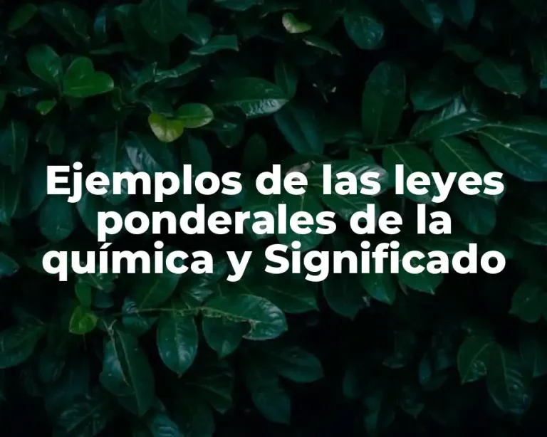 Ejemplos de las leyes ponderales de la química y Significado