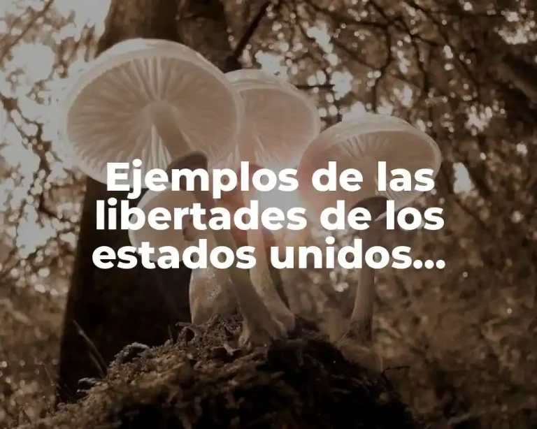 Ejemplos de las libertades de los estados unidos mexicanos