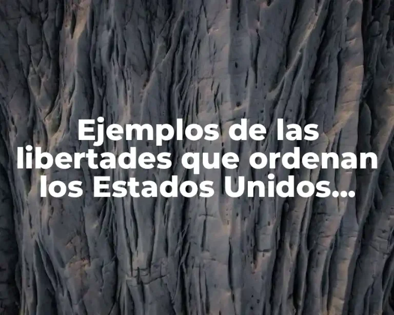 Ejemplos de las libertades que ordenan los Estados Unidos Mexicanos