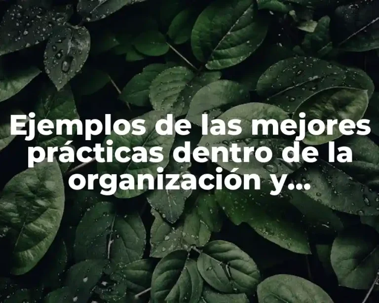 Ejemplos de las mejores prácticas dentro de la organización y Significado
