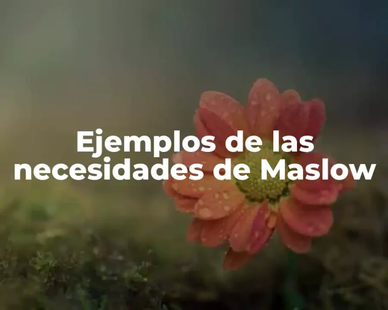 Ejemplos de las necesidades de Maslow