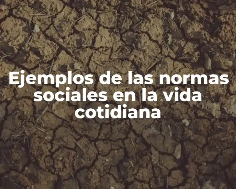 Ejemplos de las normas sociales en la vida cotidiana
