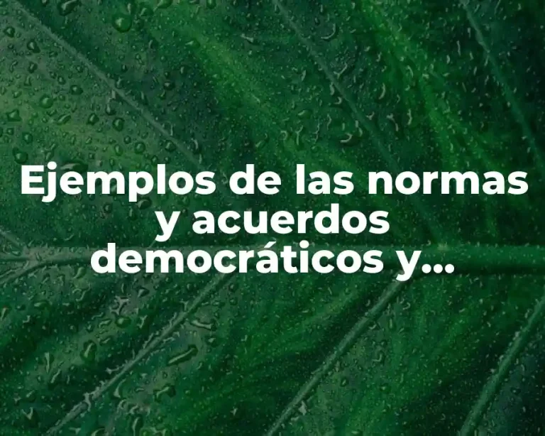 Ejemplos de las normas y acuerdos democráticos y Significado