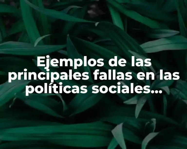Ejemplos de las principales fallas en las políticas sociales mexicanas