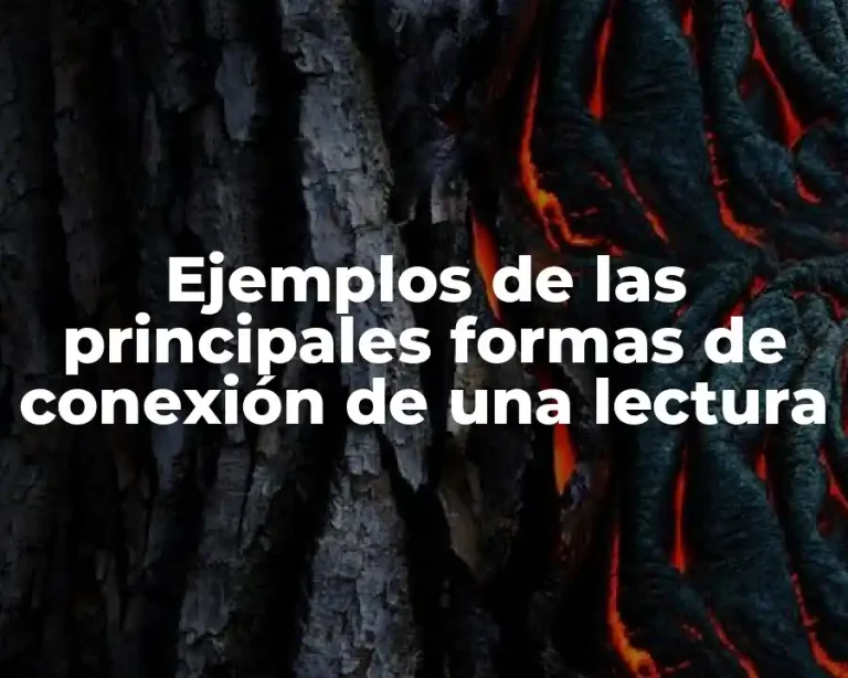 Ejemplos de las principales formas de conexión de una lectura