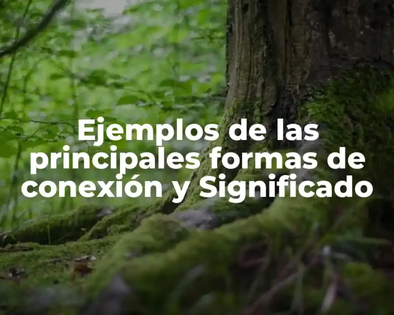 Ejemplos de las principales formas de conexión y Significado